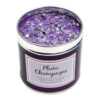 Best Kept Secrets Plum Champagne Tin Candle