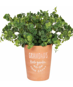 Grandads Garden Terracotta Plant Pot