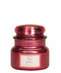 Village Candle Rain Bloosom Small Jar 262g