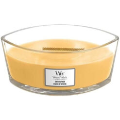 Woodwick Oat flower Ellipse Hearthwick Candle