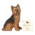 Yorkshire Terrier Dog Ornament